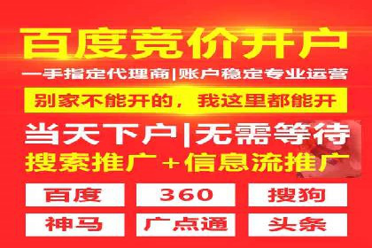 SEM专员案例：跨平台广告投放策略